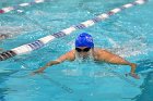 Swimming & Diving vs Babson  Swimming & Diving vs Babson College. - Photo by Keith Nordstrom : Wheaton, Swimming